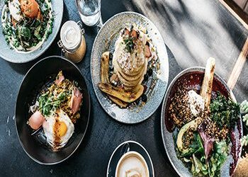 food-plate-meal-lunch-tableware_t20_OzxaYy.jpg food-plate-meal-lunch-tableware_t20_OzxaYy.jpg