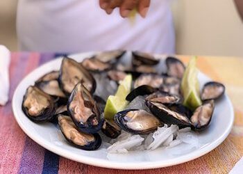nominated-man-dressing-mussels-with-lemon_t20_ZV91oY-1.jpg nominated-man-dressing-mussels-with-lemon_t20_ZV91oY-1.jpg